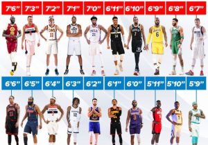 Who is the Tallest NBA Player